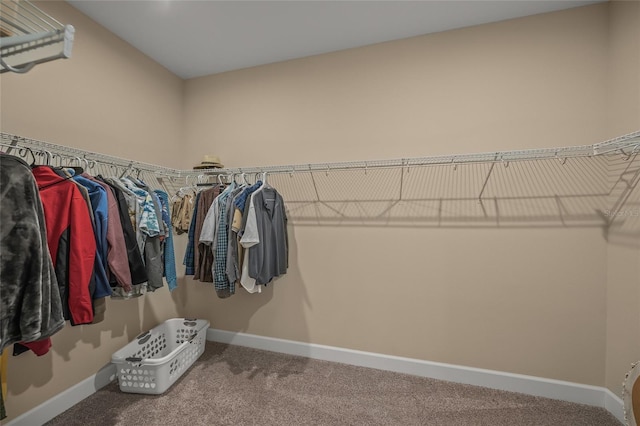 spacious closet with carpet flooring