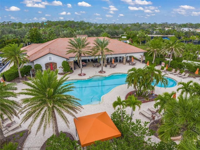 view of swimming pool featuring a patio