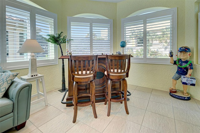 tiled dining area with a healthy amount of sunlight