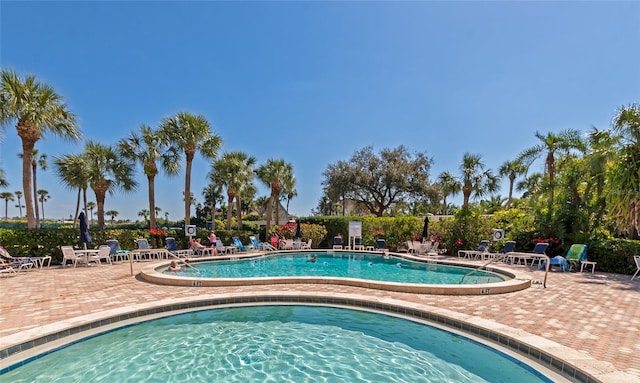 view of swimming pool featuring a patio area