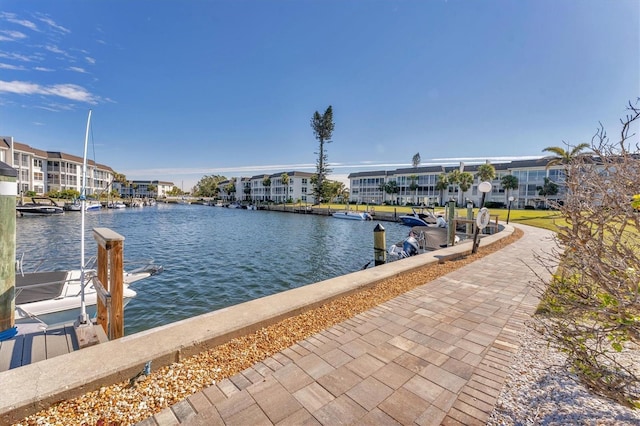 dock area with a water view