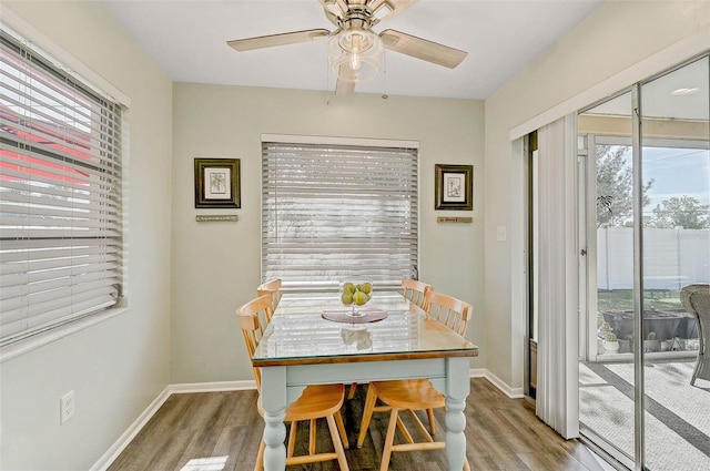 dining room with ceiling fan and hardwood / wood-style floors