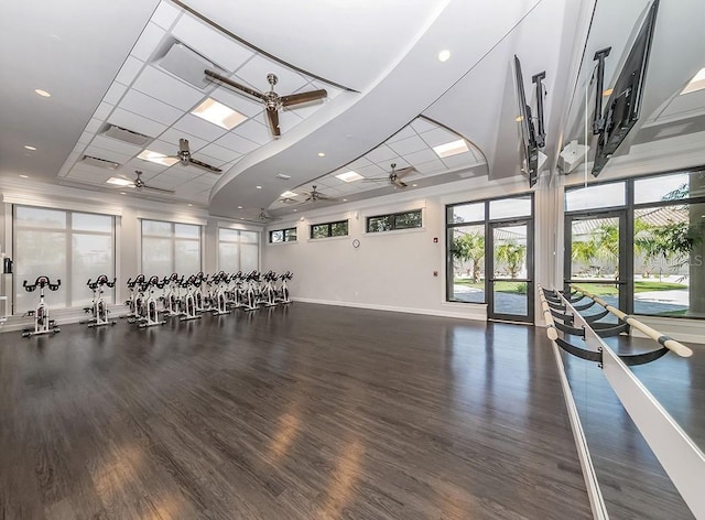 workout area with dark hardwood / wood-style flooring, a drop ceiling, and ceiling fan