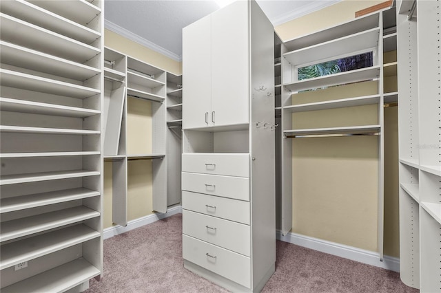 spacious closet with light colored carpet