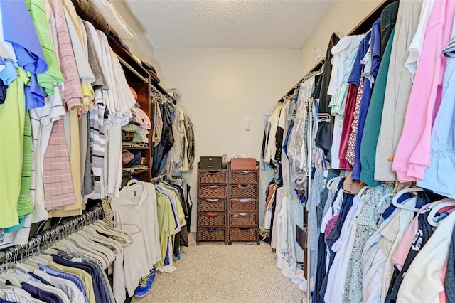 walk in closet featuring light carpet