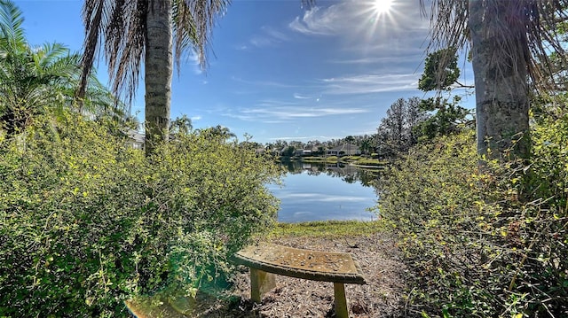 view of water feature