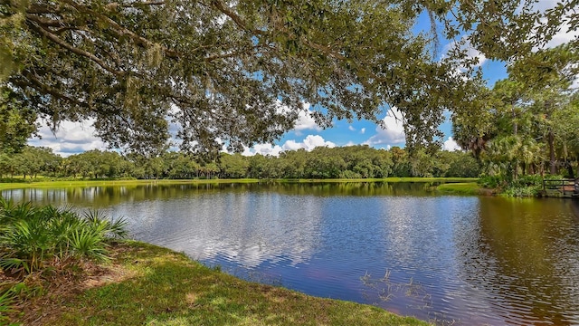 water view