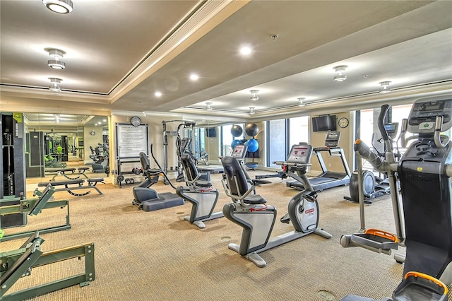 workout area with ornamental molding and a raised ceiling