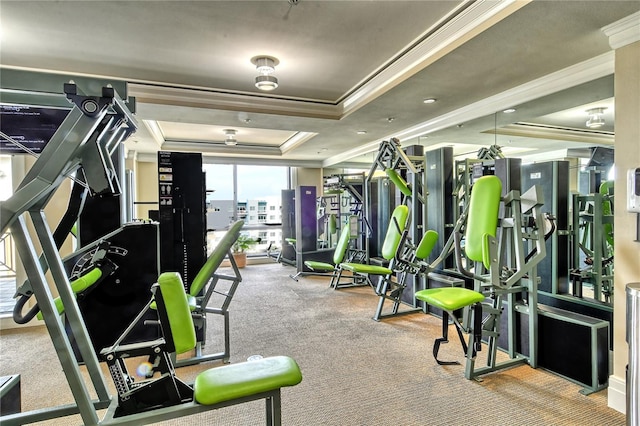 exercise room featuring a tray ceiling and ornamental molding