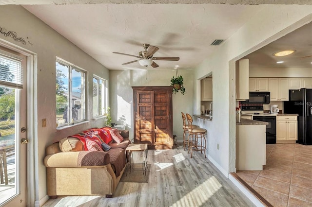 living room with light hardwood / wood-style flooring, plenty of natural light, and ceiling fan