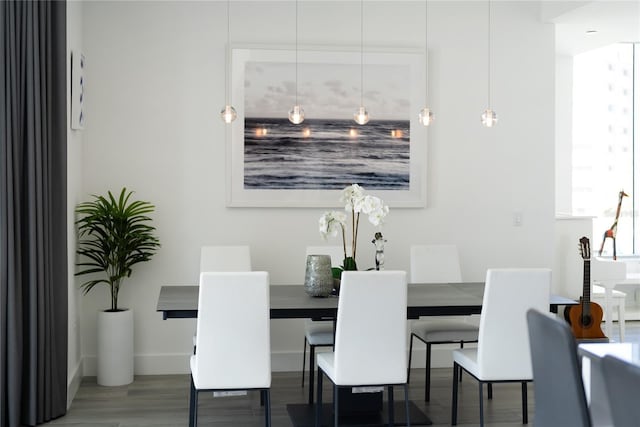 dining area with wood-type flooring