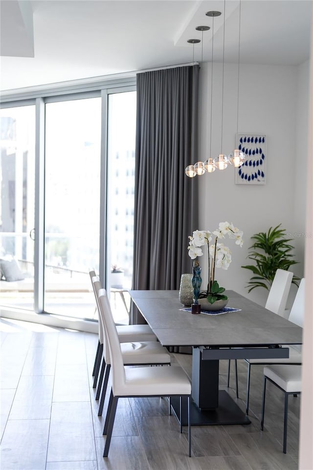 dining room featuring expansive windows and wood-type flooring