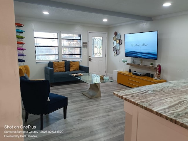 living room with crown molding and wood-type flooring