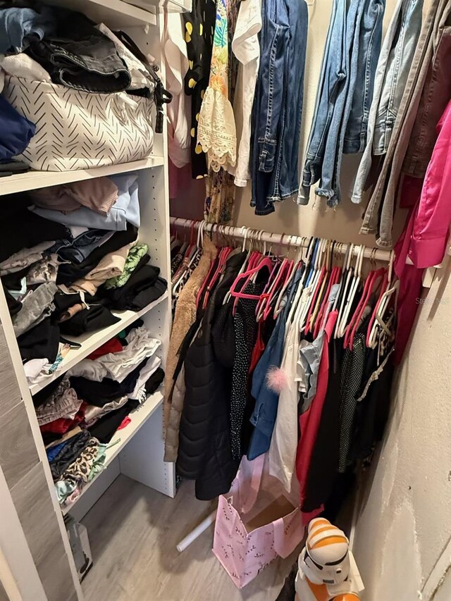 spacious closet featuring wood-type flooring