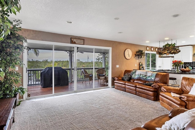 living room with carpet and a textured ceiling