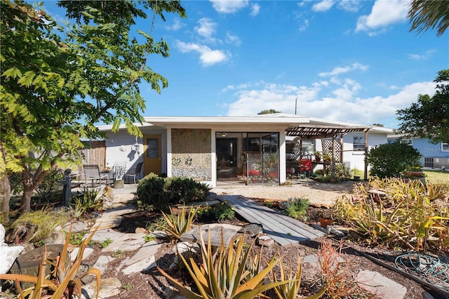 rear view of house featuring a patio and a pergola