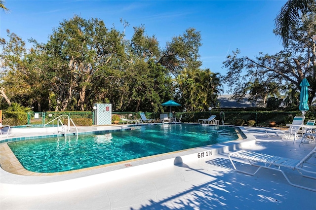 view of pool with a patio