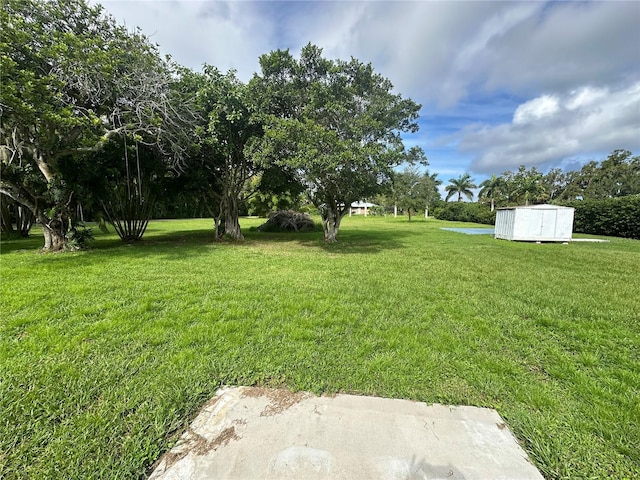 view of yard featuring a storage shed