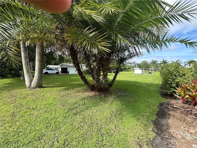 view of yard with a storage shed