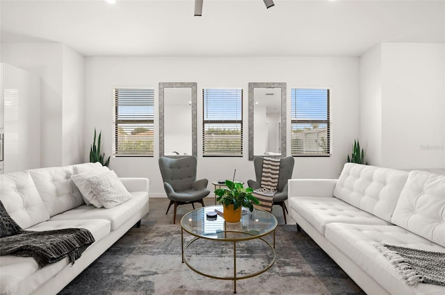 living room featuring wood-type flooring and plenty of natural light