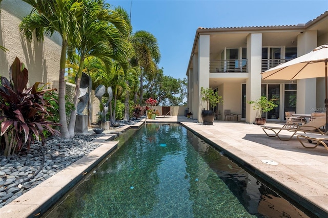 view of pool with a patio area