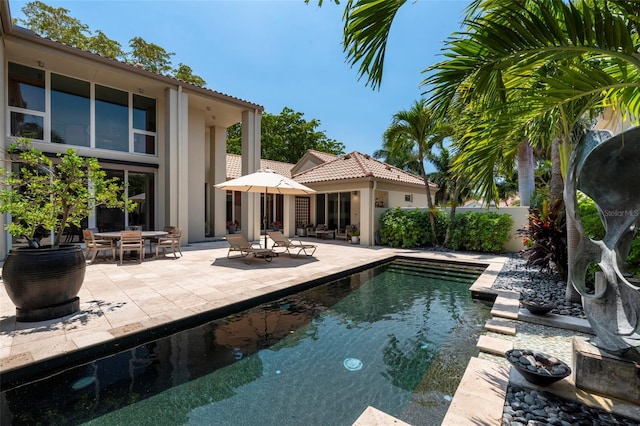 view of swimming pool featuring a patio area