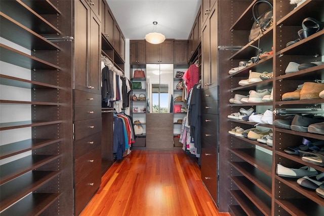 spacious closet with wood-type flooring