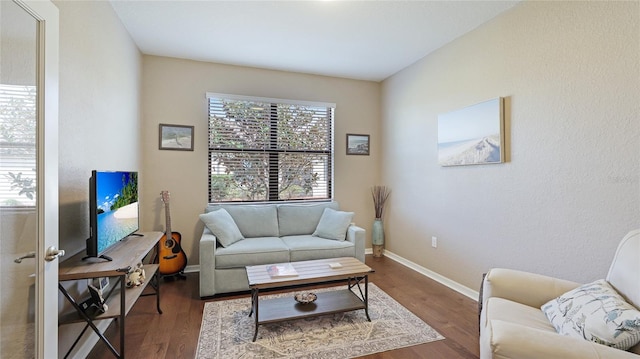 living room with hardwood / wood-style flooring