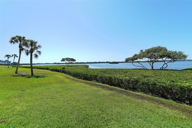 view of yard with a water view