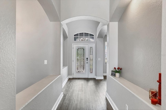 entrance foyer featuring dark hardwood / wood-style flooring