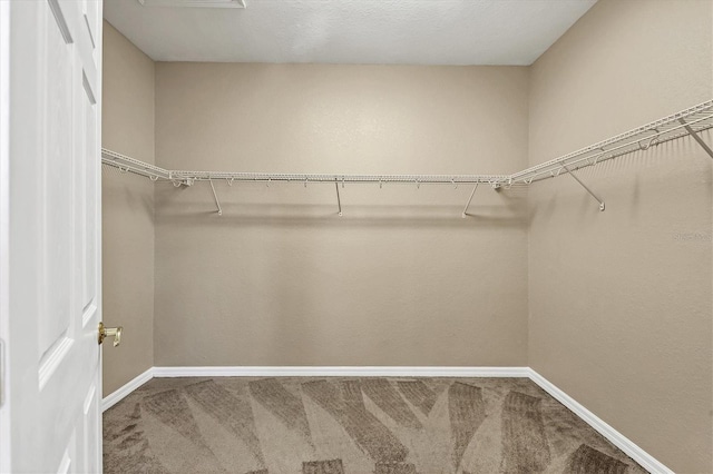 spacious closet with carpet flooring