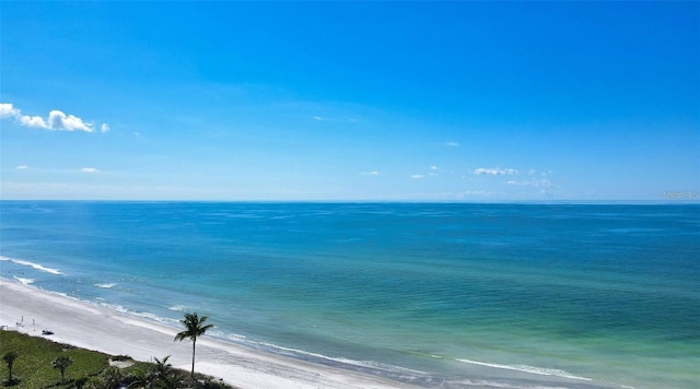 view of water feature with a beach view