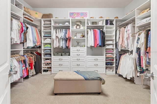 walk in closet with light colored carpet