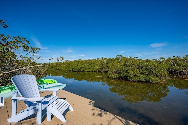 dock area with a water view