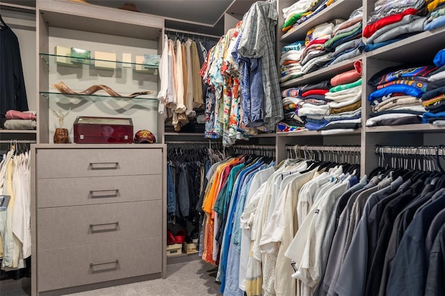 walk in closet featuring light colored carpet