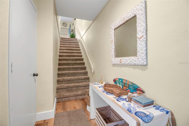 staircase featuring wood-type flooring