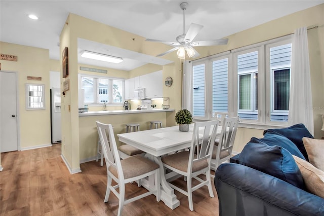 dining space with ceiling fan and light hardwood / wood-style floors