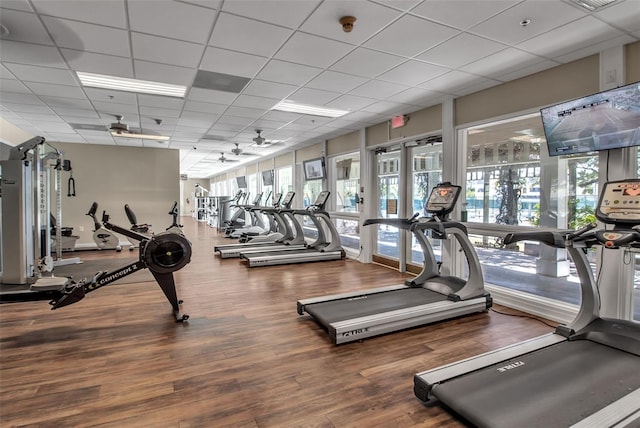 exercise room with wood-type flooring and a paneled ceiling