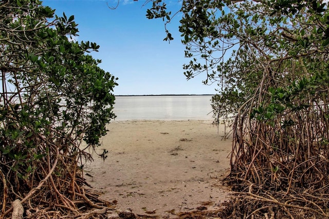 water view with a view of the beach