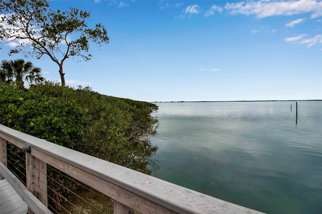 dock area with a water view