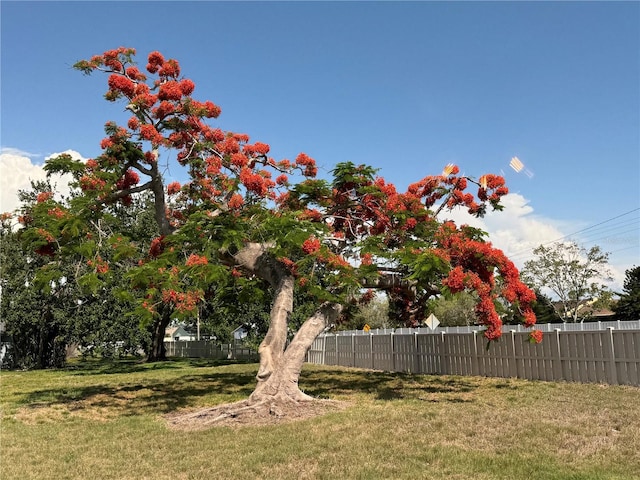 3813 42nd St W Unit 37, Bradenton, FL 34205 - view of yard