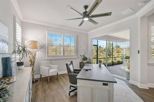 office space with crown molding, dark hardwood / wood-style floors, and a textured ceiling