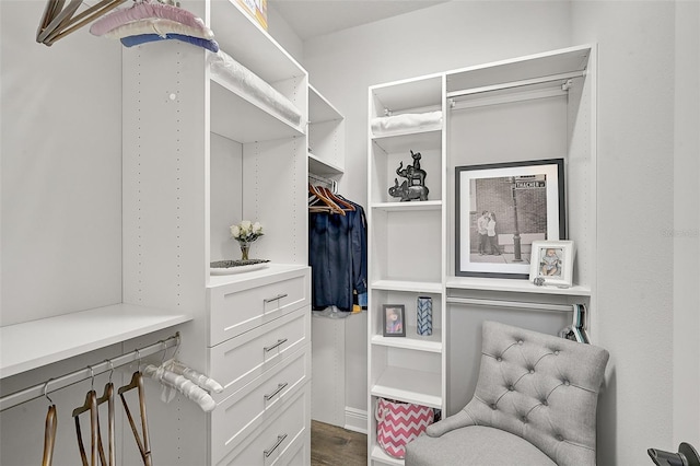 walk in closet with dark hardwood / wood-style floors