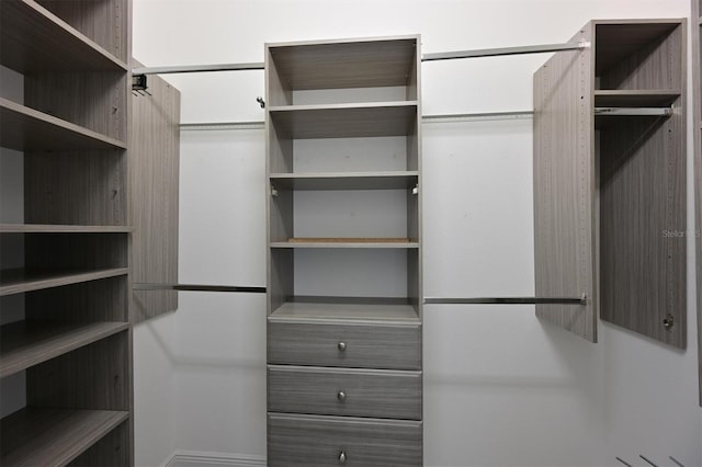 view of walk in closet