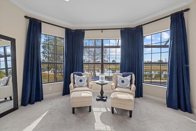 living area featuring baseboards, ornamental molding, and carpet flooring