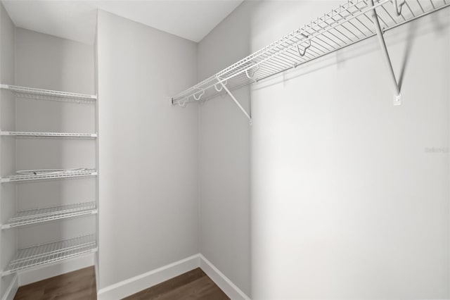 walk in closet with dark hardwood / wood-style floors