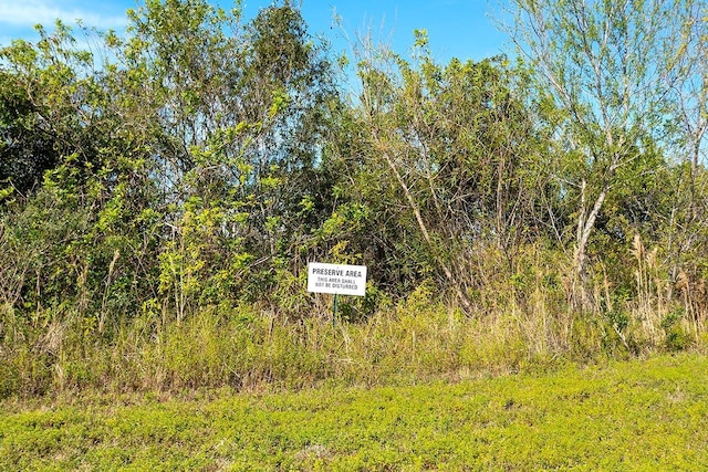 view of landscape