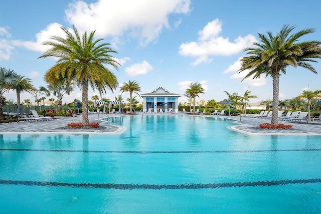 view of swimming pool