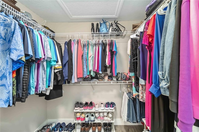 spacious closet with hardwood / wood-style floors