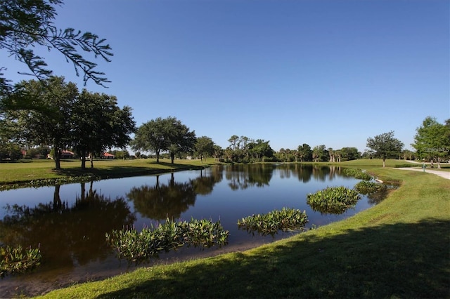 property view of water